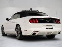 This 2016 Ford Mustang V6 Convertible is a local Ontario vehicle that delivers iconic muscle car sty... (image 4)