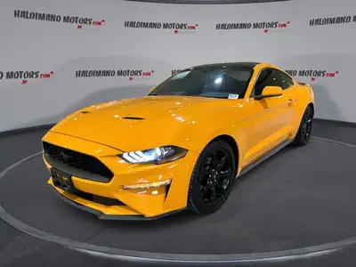 // ACCIDENT FREE!! // Turn every drive into an event in this used 2019 Ford Mustang EcoBoost Fastbac...
