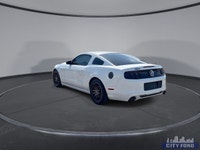 City Ford is Family Owned and Operated serving Edmonton and area for Over 37 Years - Over 300 New &... (image 5)