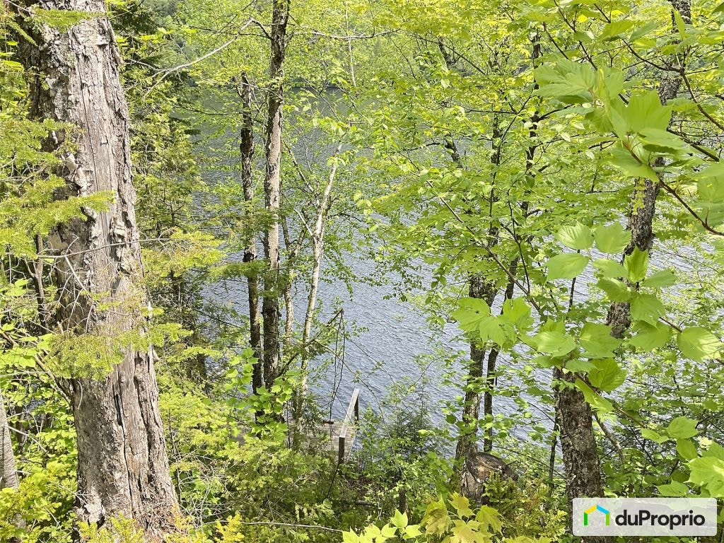 $680,000 - 1 1/2 Storey for sale in Lac-Aux-Sables — photo 3
