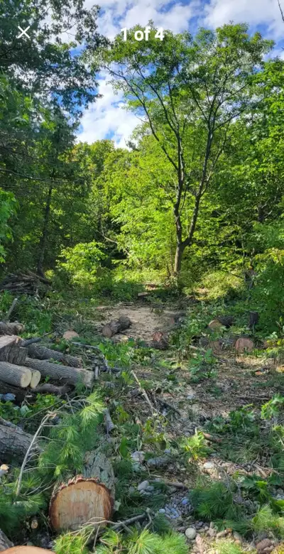 Description: seriuse inquiries only. A unique opportunity to own property on one of Southern Georgia...
