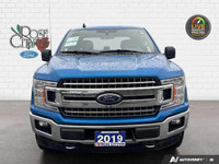 - CLOTH SEATS - 2.7L ECOBOOST ENGINE - CHROME RUNNING BOARDS - PRE-COLLISION ASSIST - BACK UP CAMERA... (image 8)