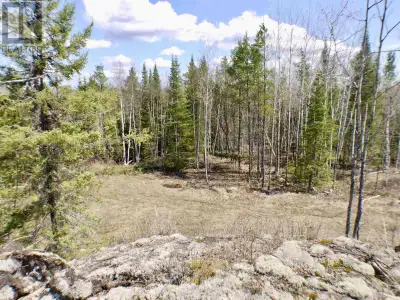 These 161 acres of a mixed area with full standing trees, a older cut off area and a creek through t...