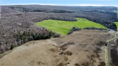 Danville (Estrie) : Magnifique terre de 284,84 acres, comprenant une vaste forêt avec érablière de 1...