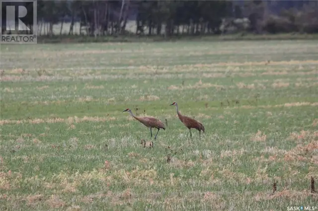 6 Bronco DRIVE Big River Rm No. 555, Saskatchewan in Houses for Sale in Meadow Lake - Image 41