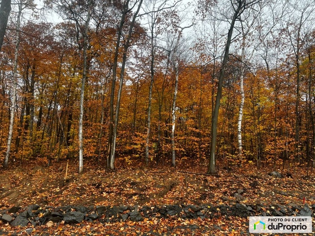 $110,000 - Residential Lot for sale in Gore — photo 2