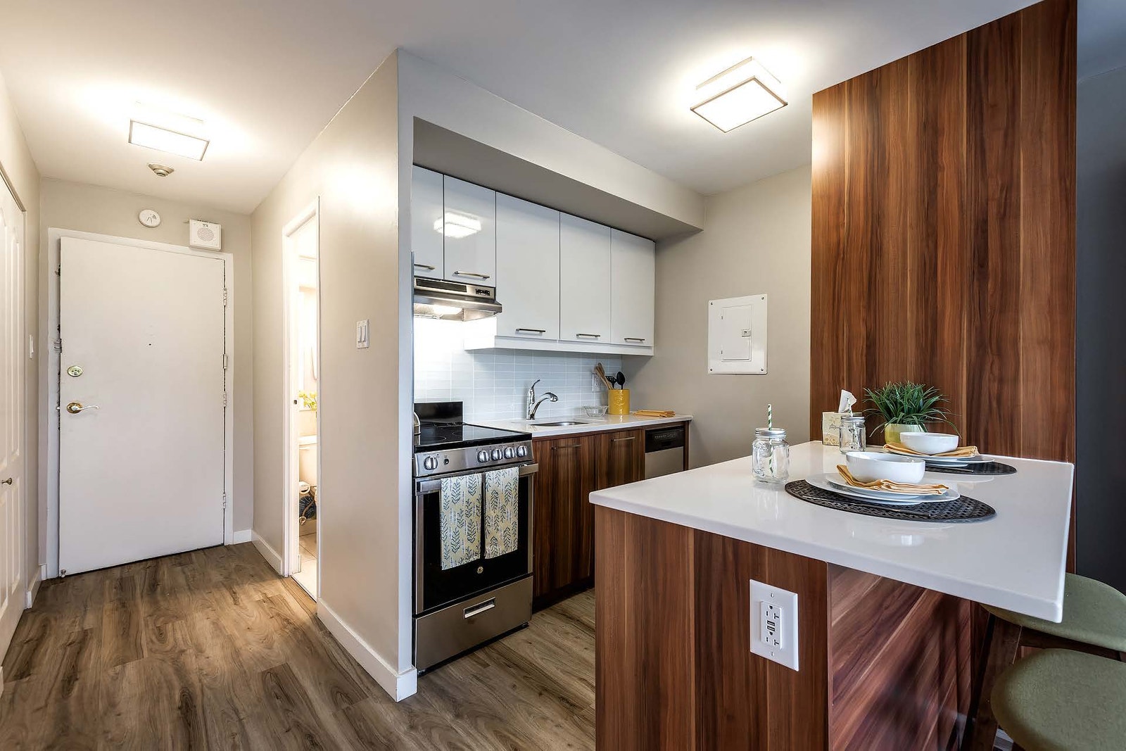 3655 Avenue Papineau — photo 2