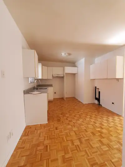 Plateau Mont-Royal, 4 1/2 upper duplex, renovated, freshly painted, new electrical wiring, LED light...