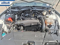 Come see this certified 2024 Ford Mustang EcoBoost Coupe | Auto | Heated Seats | Dual Zone Climate |... (image 8)
