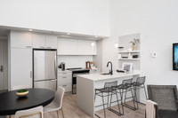 new/nouveau apartment logement locatif-3.5, 3 1/2, 1-bedroom/chambre, Outremont, Campus MIL/Mile-End... (image 1)