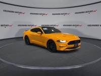 // ACCIDENT FREE!! // Turn every drive into an event in this used 2019 Ford Mustang EcoBoost Fastbac... (image 1)