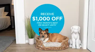Pet-Friendly Three Bedroom Two Bath with In-suite Laundry for Re