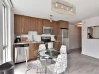 4 1/2 Condo apartment à louer/for rent-Ville-Marie Berri UQAM