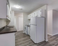 Amenities: Heat & Water Included • Keyless Entry • Balconies Suite & Building: Spacious bachelor, on... (image 3)