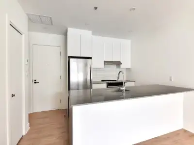 5.5-Apartment for rent/Condo à louer-Plateau Mont-Royal 468sg, View more