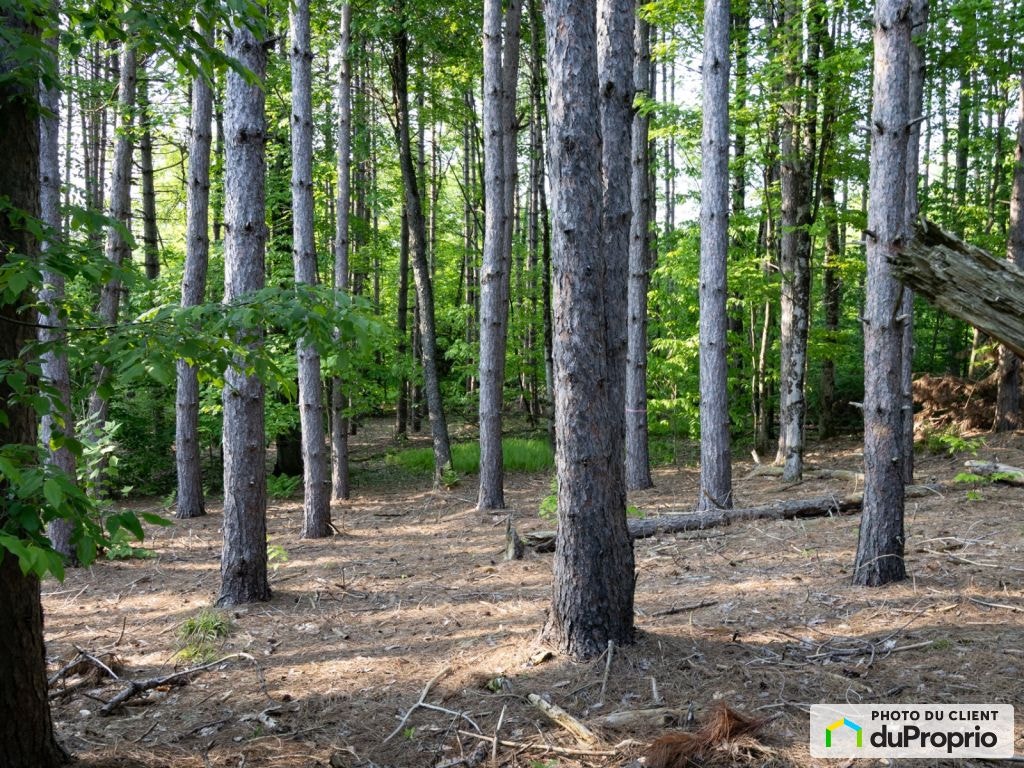 $215,000 - Price taxes included - Residential Lot in Sutton — photo 1