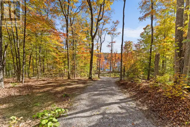 100 RUSSELL DRIVE Trent Lakes, Ontario in Land for Sale in Muskoka - Image 14