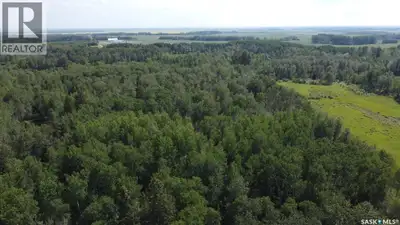 Beautiful, scenic 88 acres is how we best describe this property. It would make a great choice for a...