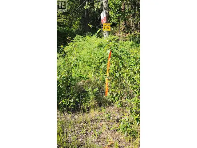 Lot 19 6 Highway Nakusp, British Columbia in Land for Sale in Nelson - Image 10