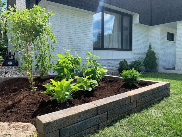 Ottawa Student Landscaping and Lawns in Lawn, Tree Maintenance & Eavestrough in Ottawa