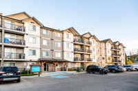 Broadstreet's Laurel Meadows offers 1, 2, and 3 bedroom pet friendly apartments for rent in the char... (image 1)