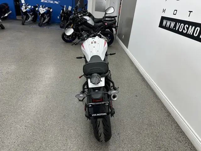 2024 Yamaha XSR700ARW XSR700 - V6138NP - -No Payments for 1 Year in Sport Bikes in Markham / York Region - Image 8
