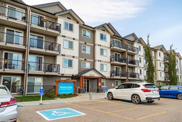 Pet-Friendly One Bedroom One Bath with In-suite Laundry for Rent in Long Term Rentals in Edmonton - Image 4