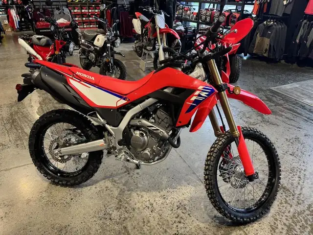 2025 Honda CRF 300L ABS in Sport Bikes in Ottawa - Image 6