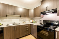 Broadstreet's Chappelle Springs offers 1, 2, and 3 bedroom pet friendly apartments for rent in the v... (image 6)