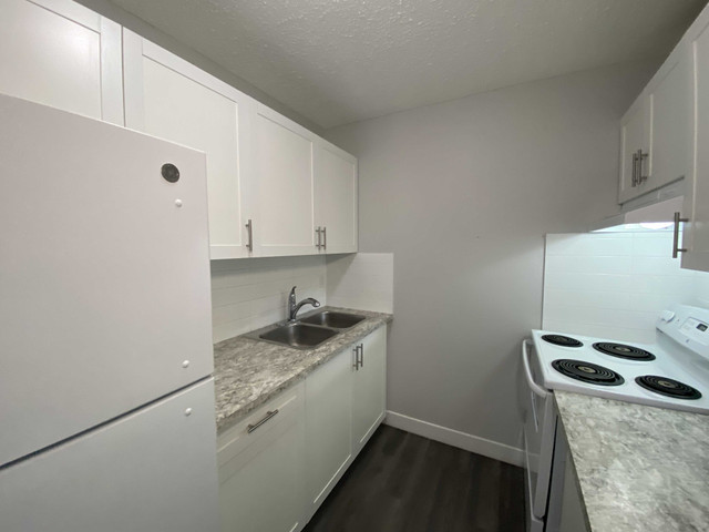 4th St NW Area Apartment For Rent | Queen's Park Townhomes in Long Term Rentals in Calgary - Image 3