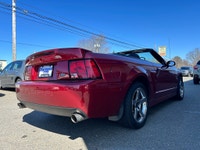 WHY THIS COBRA IS NEXT LEVEL: SVT COBRA TERMINATOR Supercharged, iconic, and getting harder to find... (image 5)