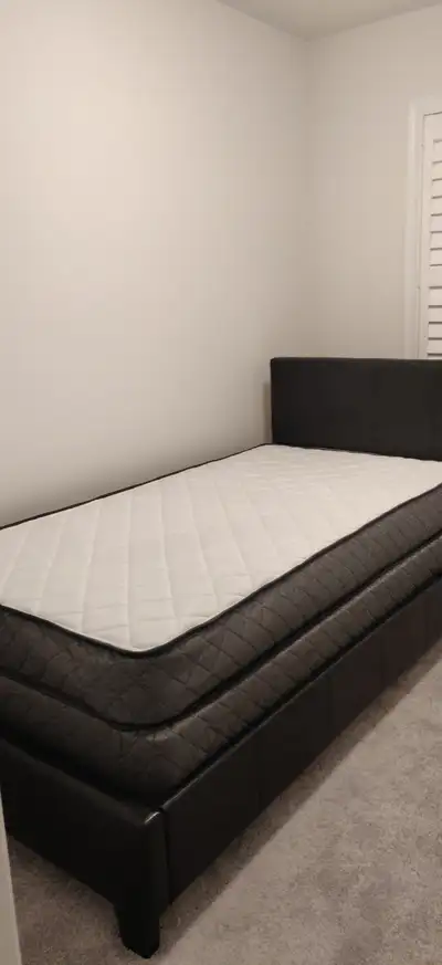 Oshawa single private room- fromJune/July