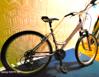 Schwinn Soto Bike 26"