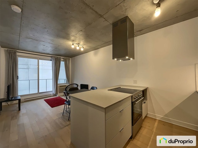 $359,000 - Condominium for sale in Griffintown — photo 1