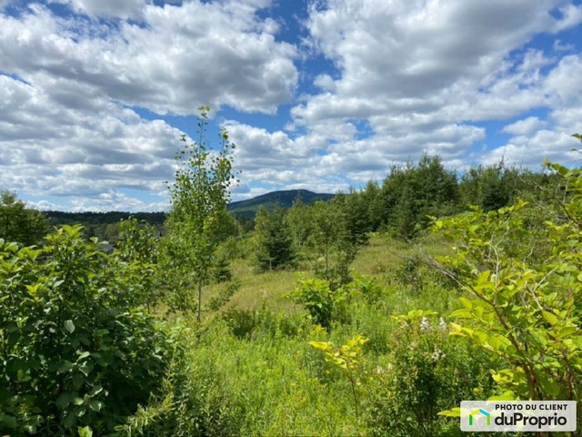 $149,900 - Residential Lot for sale in St-Ferreol-les-Neiges — photo 2