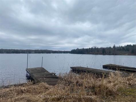 92 Albert St in Houses for Sale in Kawartha Lakes - Image 3