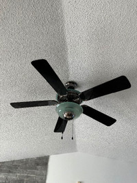 Ventilateur de plafond noir