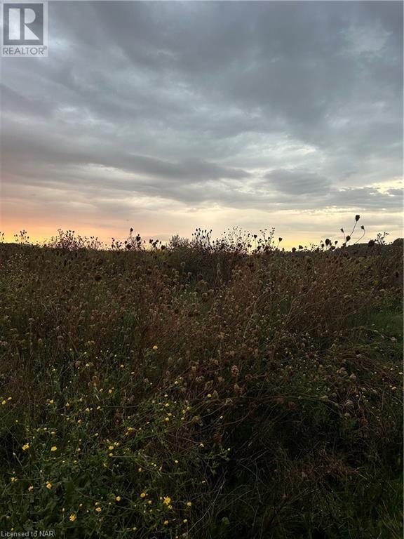 N/A SPRING CREEK Road Vineland, Ontario Land for Sale St