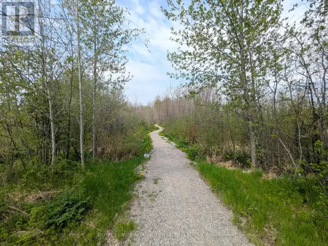 CON 2 N PT LOT 12 WHITNEY Timmins (SP - Connaught Hill), Ontario in Land for Sale in Timmins - Image 41