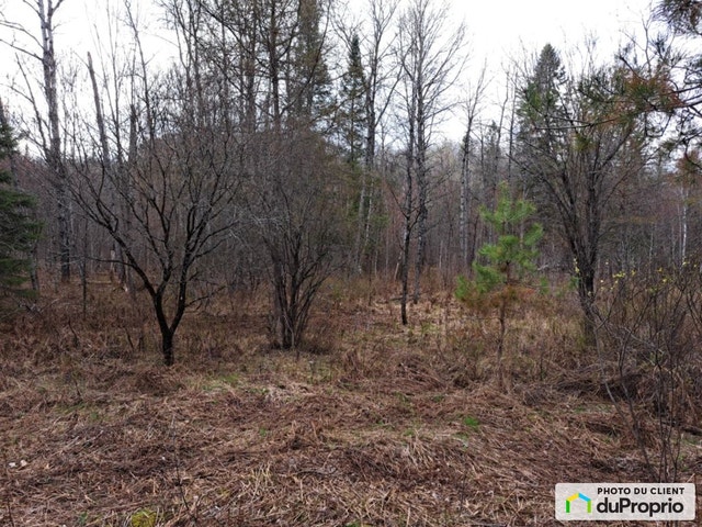 $110,000 - Residential Lot for sale in Mont-Tremblant — photo 3