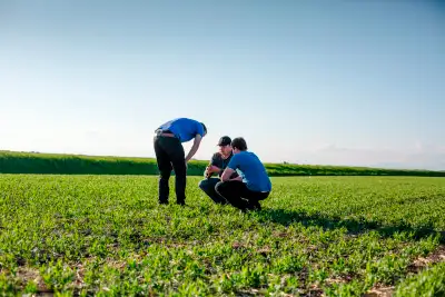 Summer Student on-farm near Hepburn, View more