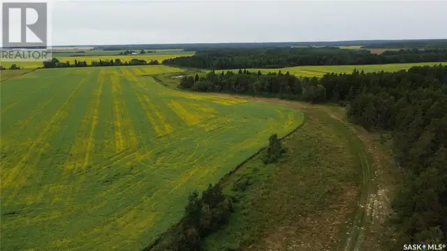 White Farm Torch River Rm No. 488, Saskatchewan in Land for Sale in Prince Albert - Image 12