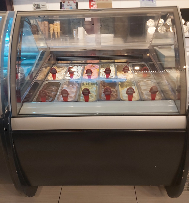 HUSSCO USED Italian Gellato Ice Cream  Restauraant Cafe Cabinets in Industrial Kitchen Supplies in Edmonton - Image 4