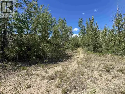 Attention investors! Attention developers! Here it is: 7.60 acres within Vanderhoof -- prime for fut...