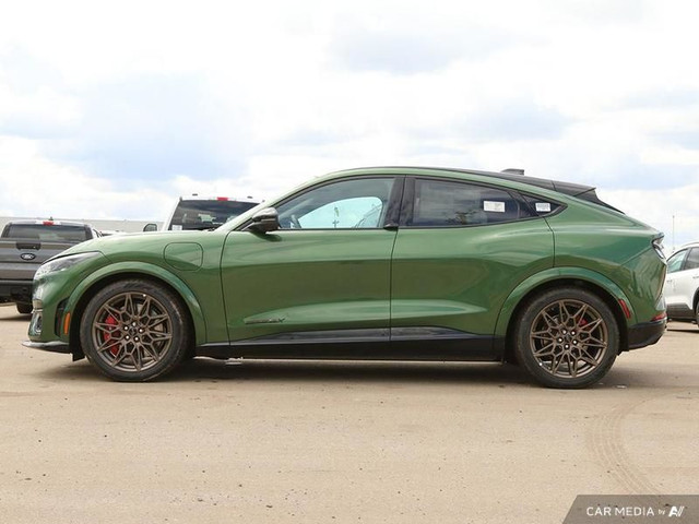 2025 Ford Mustang Mach-E GT in Cars & Trucks in Edmonton - Image 3