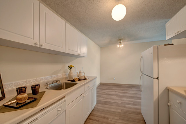 Spacious 3 Bedroom Apartments 1.5 Bathroom at only $1670 in Long Term Rentals in Edmonton