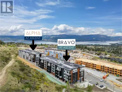 **$20,000 Incentive Package Available on This Home** Size Matters, and you get more at Ascent. #316...