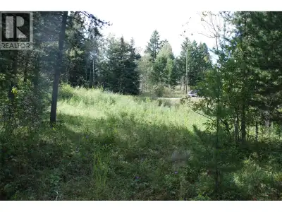 Peaceful rural acreage minutes from Merritt. Escape to the country with this picturesque 1 acre bare...