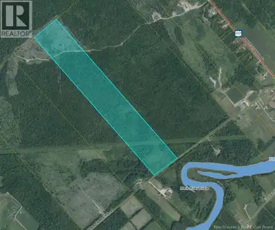 If youve been looking for a mid-sized woodland parcel with easy road access in the Black River Bridg...