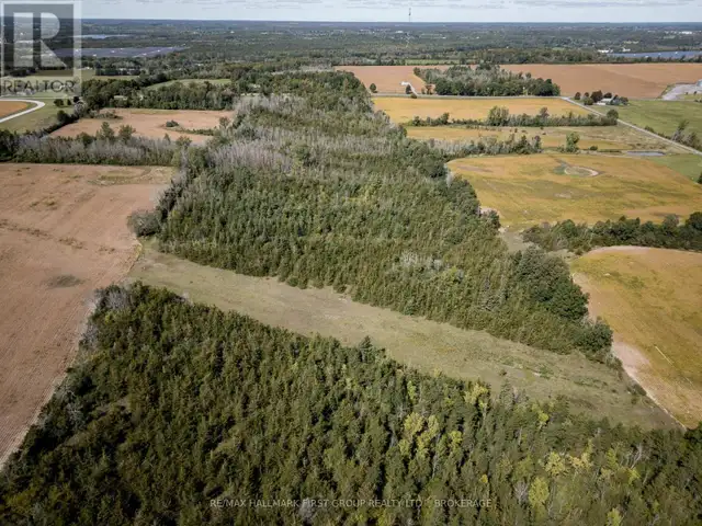 00 PALACE ROAD Greater Napanee (Greater Napanee), Ontario in Land for Sale in Napanee - Image 21